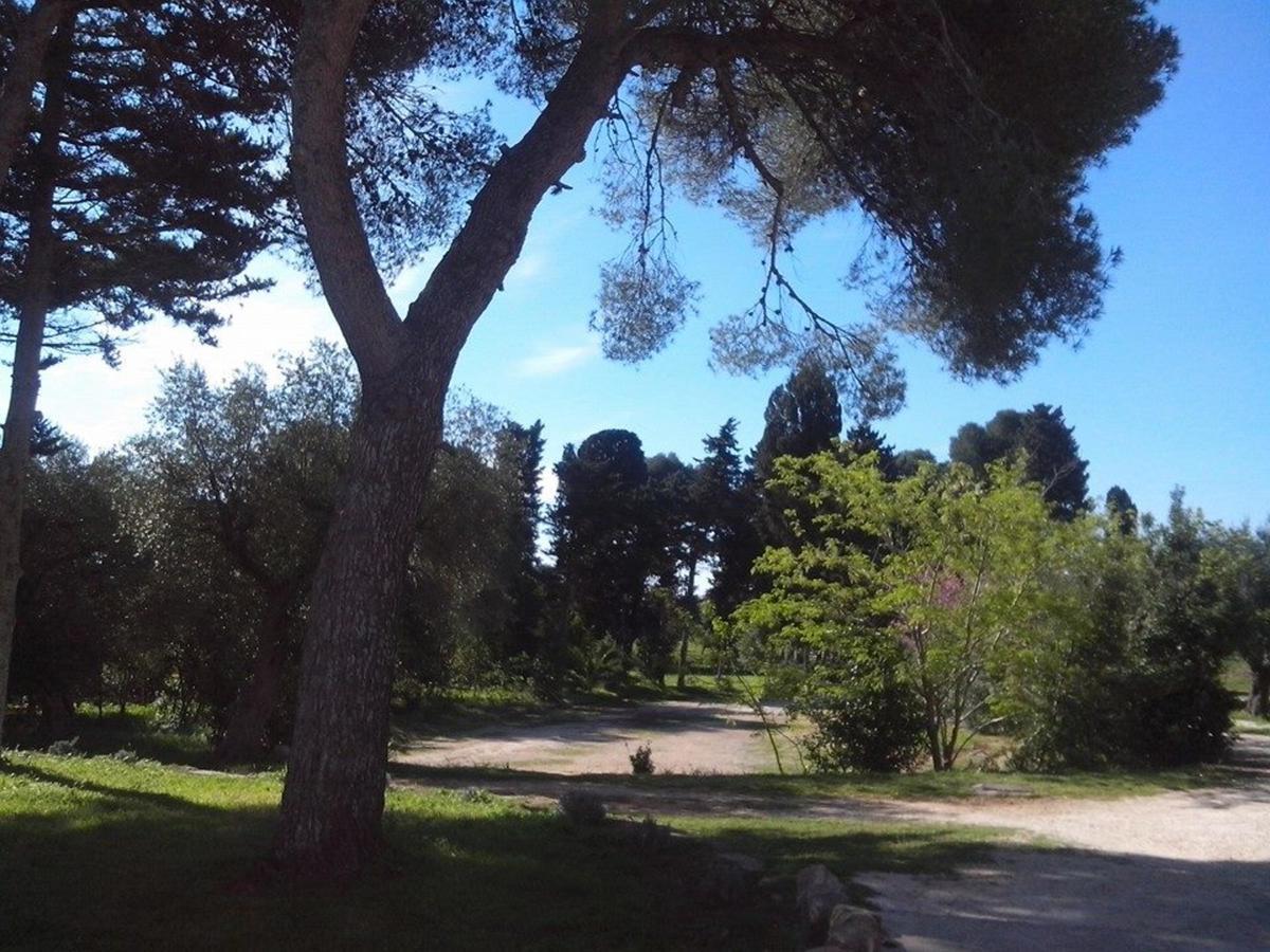 La Casa Di Ora Bed & Breakfast Casamassella